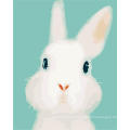 Framed beautiful wall art paint by numbers kits cute bunny